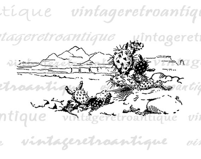 Printable Graphic Desert Cactus Image Antique Digital Download Vintage Clip Art Jpg Png Eps HQ 300dpi No.146