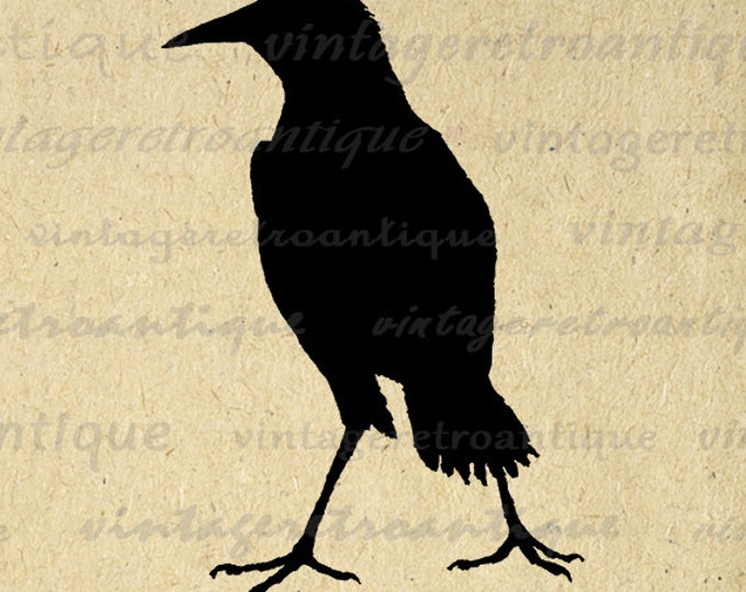 Printable Image Antique Bird Silhouette Digital Illustration Graphic Download Vintage Clip Art Jpg Png Eps HQ 300dpi No.3288