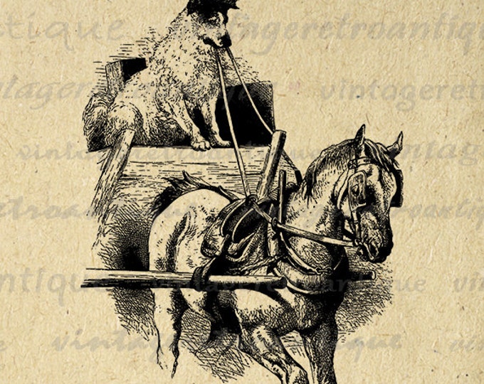 Digital Image Dog Driving Horse Carriage Graphic Illustration Printable Download Vintage Clip Art Jpg Png Eps HQ 300dpi No.3350