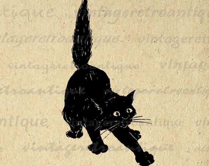 Printable Image Black Cat Graphic Digital Download Artwork Antique Clip Art Jpg Png Eps HQ 300dpi No.1916