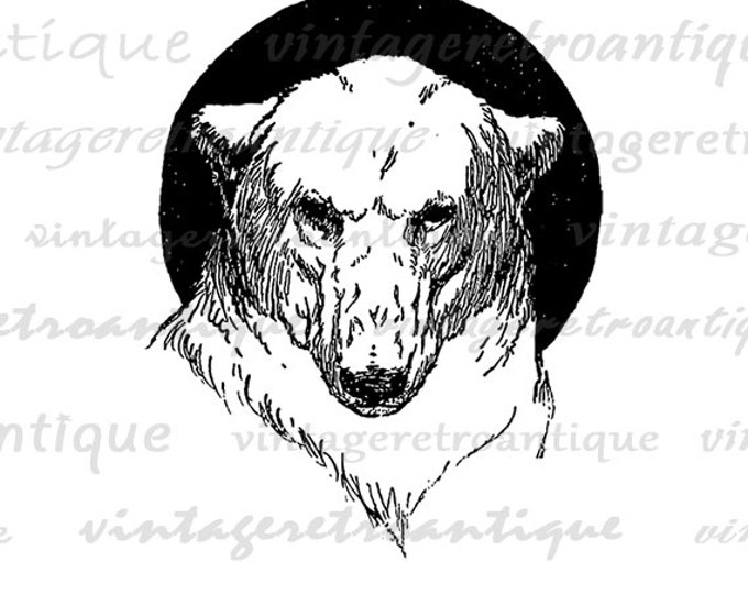 Printable Polar Bear Graphic Digital Antique Image Download Vintage Clip Art Jpg Png Eps HQ 300dpi No.134