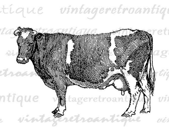 Printable Image Holstein Cow Graphic Farm Animal Digital Download Antique Clip Art Jpg Png Eps HQ 300dpi No.3497