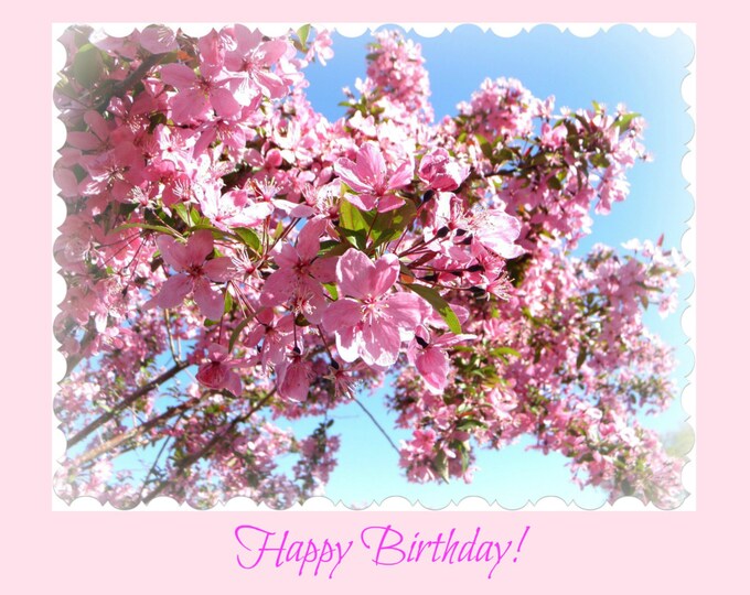 BIRTHDAY CARD For Her featuring the blossoms of the Pink Crabapple Tree created by Pam of Pam's Fab Photos; Ships Free