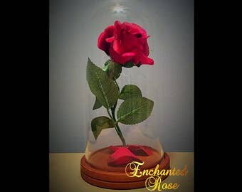 Enchanted Rose Beauty and the Beast