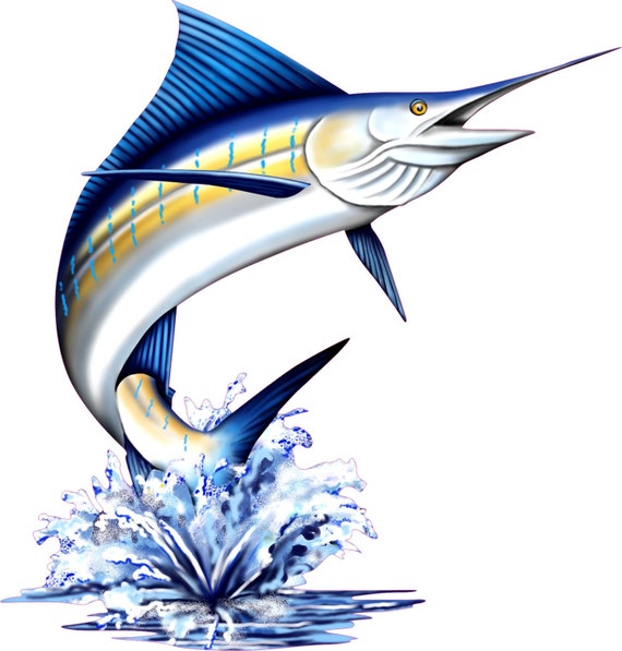 Marlin fish decal full color Marlin fish decal Marlin fish