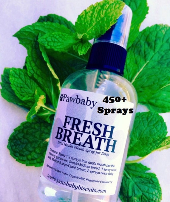 Fresh Breath Oral Spray for Dogs Water Bowl Additive Dog