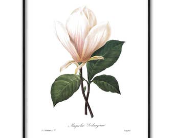 Magnolia printables | Etsy