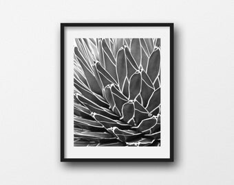 Botanical Print, Succulent Photo, Black and White, Agave Picture, Nature Photography, Nature Abstract, Home Decor, Southwest Art, Wall Art
