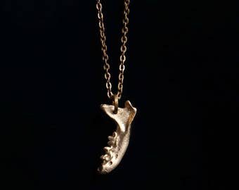 Handcrafted Bronze Mink Jawbone ~ Bone Jewelry ~ Gothic Jewelry ~ Taxidermy ~ Oddities ~ Bronze Jewelry