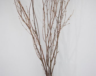 Natural Branch Curly Twigs Branches Centerpiece Decor Winter Wonderland Decoration Natural Branch Curly Twigs Branches Centerpiece Decor Winter Wonderland Decoration