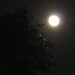 lunarmansions0226