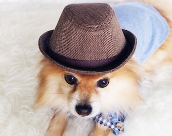 Fedora for DOGS, CATS! HANDMADE dog hats, dog caps, summer hat, cowboy hat, sun visor hat, sun hat, pet accessories, dog hoodies, dog outfit