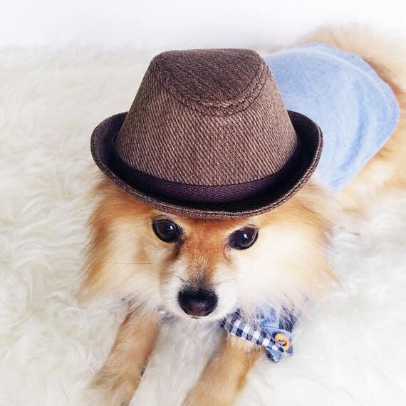 Fedora for DOGS CATS HANDMADE dog hats dog caps summer