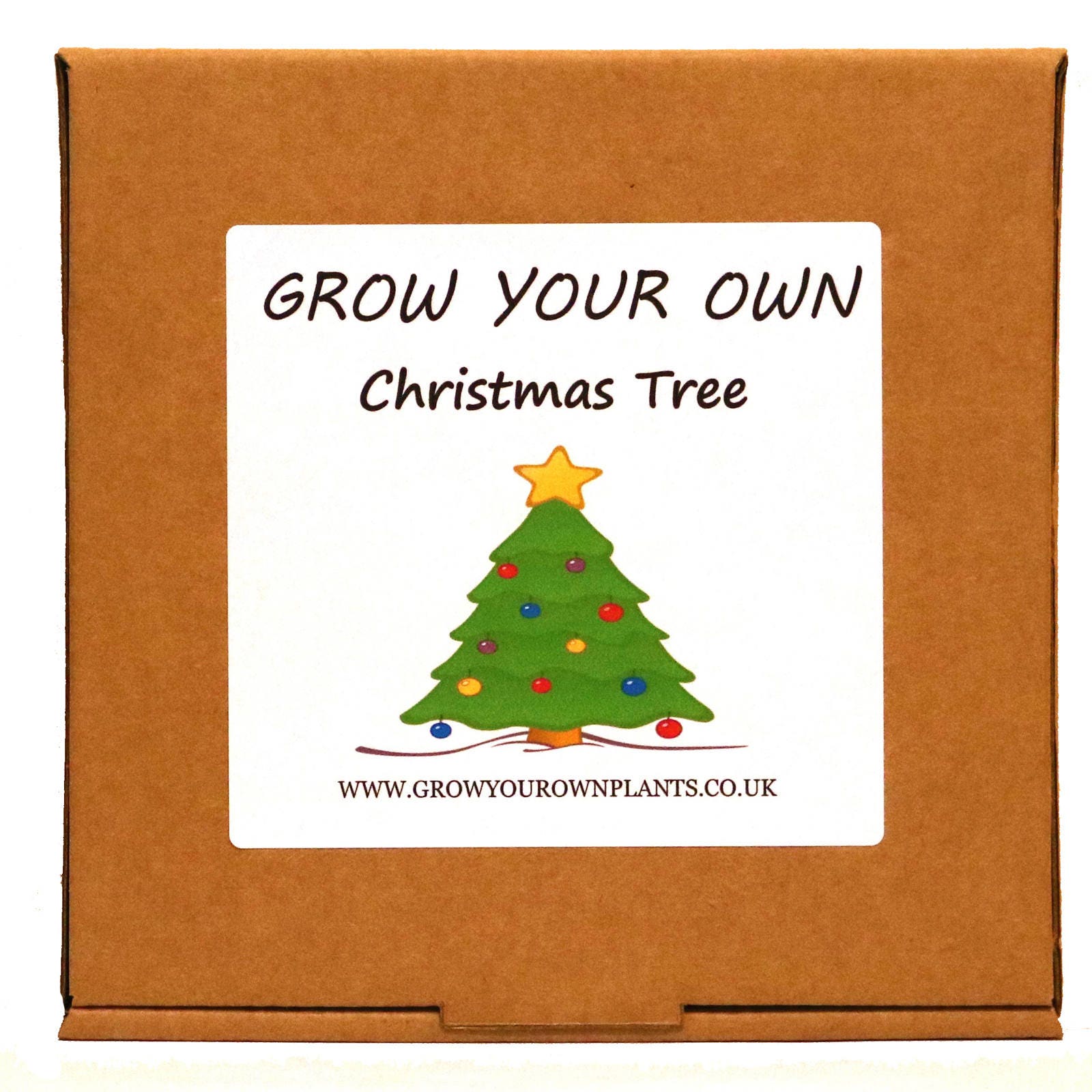 grow your own norway spruce christmas tree plant kit unusual grow your own norway spruce christmas tree plant kit unusual