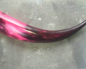 Colored natural cow drinking horn