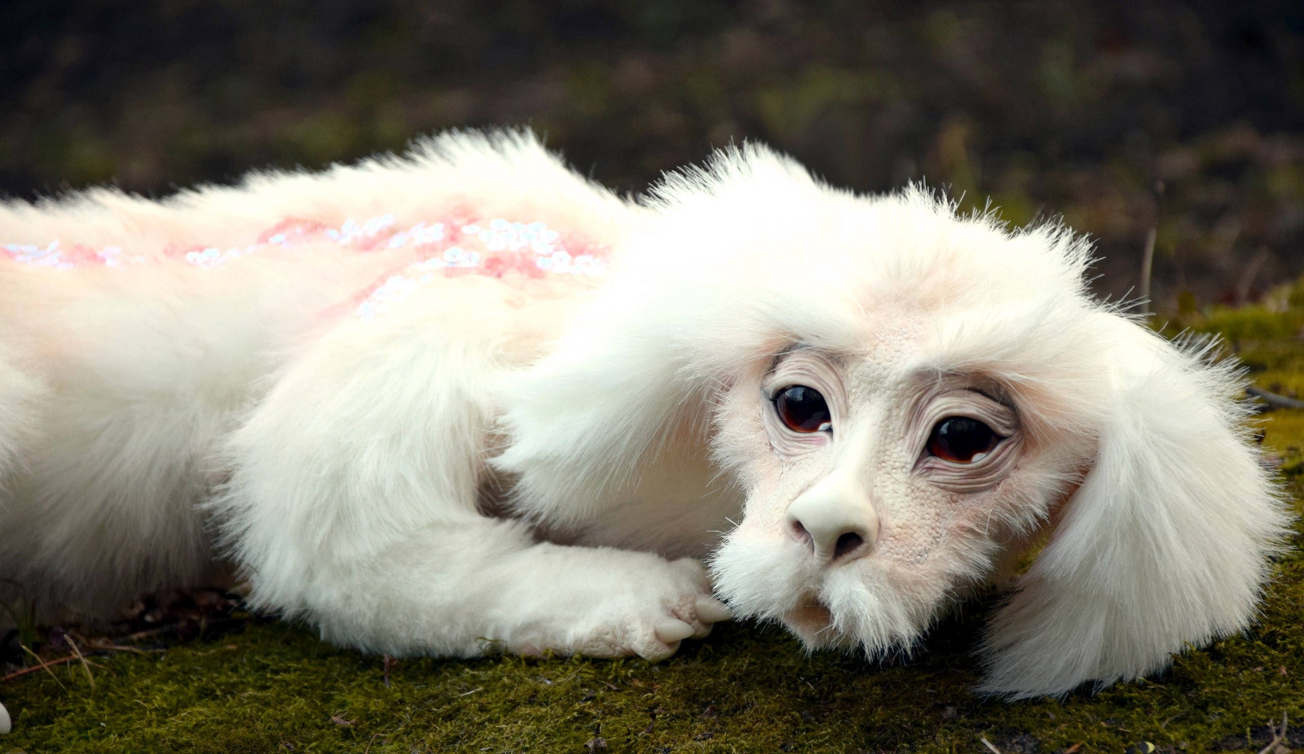 falkor stuffed toy