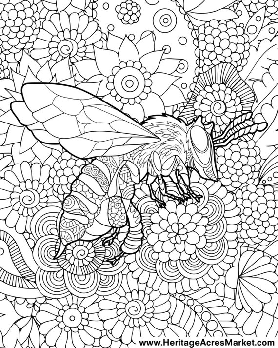 Bee Theme Adult Complicated Coloring Page PDF Digital Download