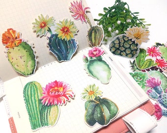 18 Pcs Cactus Sticker, Succulent Sticker Flakes, Potted Plants Filofax Stickers, Cacti stickers, Cactus Flower Sticker, Plant Sticker,Desert