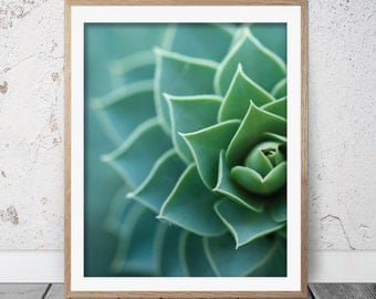 Succulent print, Succulent art, Cactus art, Botanical print, Succulent wall art, Succulent printable, Home decor, Printable art, FM-087