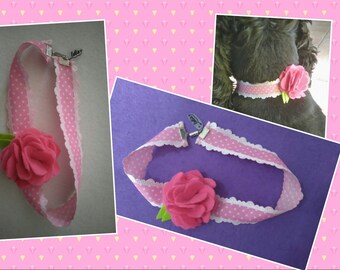Collar cat, dog, rabbit
