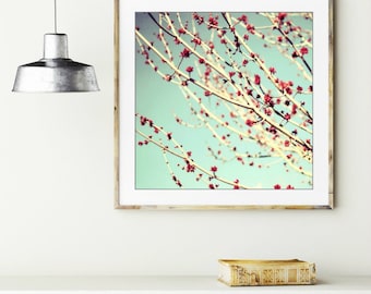 Turquoise red wall art, tree botanical print, aqua teal blue decor, nature photography 'Emerge'