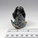 bluetick coonhound figurine