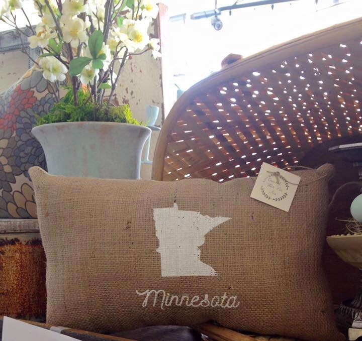 Minnesota or Minnesconsin Pillow Handmade Screen Printed