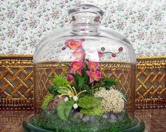 Miniature Cloche. Miniature composition "Forest orchid". Glass Cloche . Handcrafted miniature