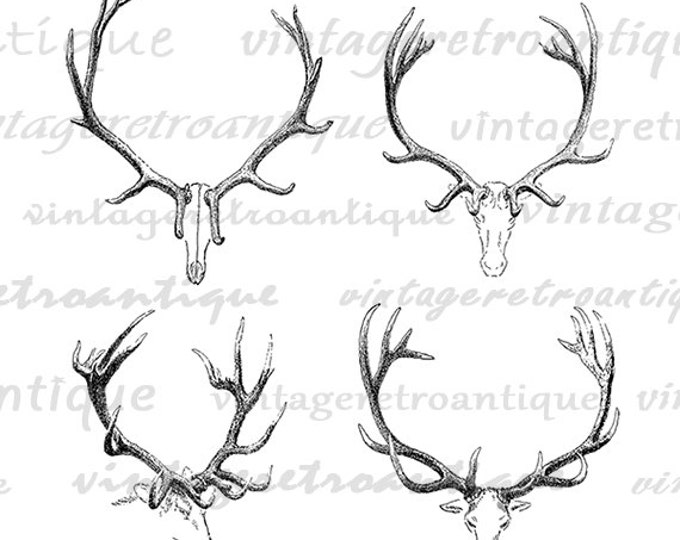 Printable Deer Antlers Graphic Deer Digital Image Clipart Collage Sheet Image Animal Download Vintage Clip Art Jpg Png Eps HQ 300dpi No.1099