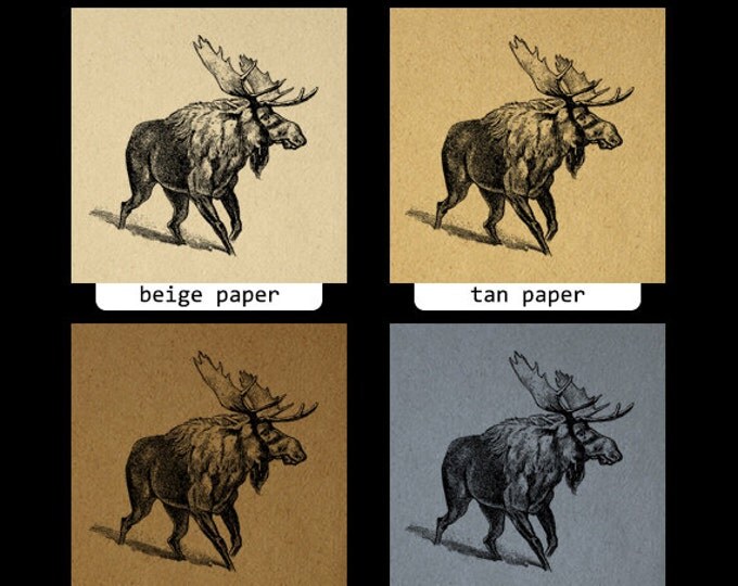 Digital Printable Moose Download Illustration Graphic Artwork Image Vintage Clip Art Jpg Png Eps HQ 300dpi No.323
