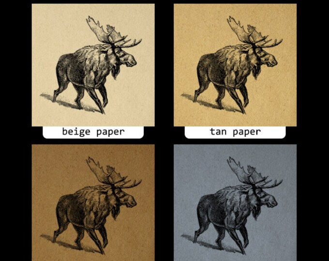 Digital Printable Moose Download Illustration Graphic Artwork Image Vintage Clip Art Jpg Png Eps HQ 300dpi No.323