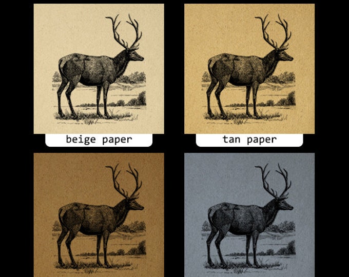 Digital Antique Elk Printable Download Image Animal Artwork Graphic Vintage Clip Art Jpg Png Eps HQ 300dpi No.2195