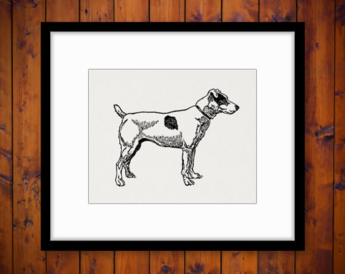 Fox Terrier Dog Image Graphic Printable Illustration Digital Download Antique Clip Art Jpg Png Eps HQ 300dpi No.3080