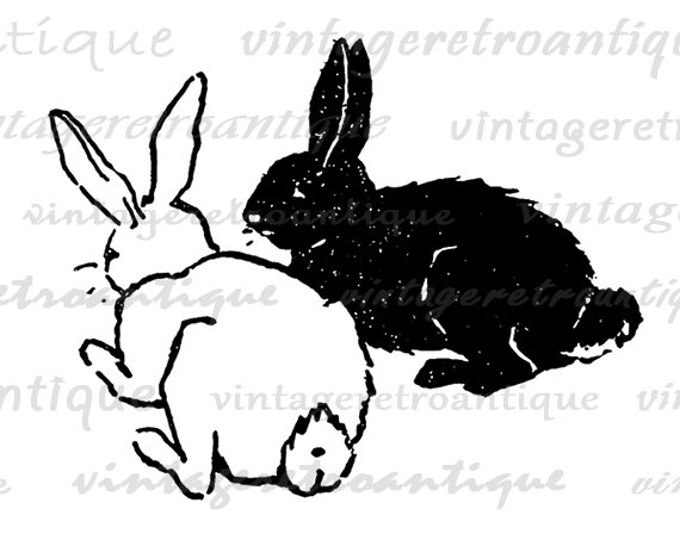 Two Rabbits Image Digital Graphic Bunny Illustration Download Printable Vintage Clip Art Jpg Png Eps HQ 300dpi No.2429