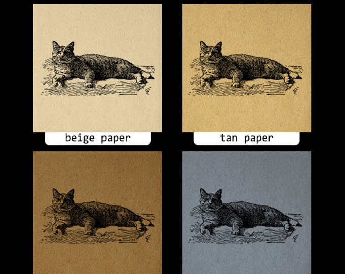 Manx Cat Digital Graphic Download Image Printable Artwork Vintage Clip Art Jpg Png Eps HQ 300dpi No.3072