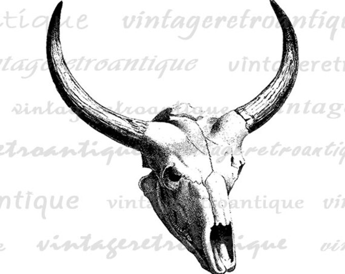 Printable Bull Skull with Horns Graphic Digital Cow Download Western Image Vintage Clip Art Jpg Png Eps HQ 300dpi No.554