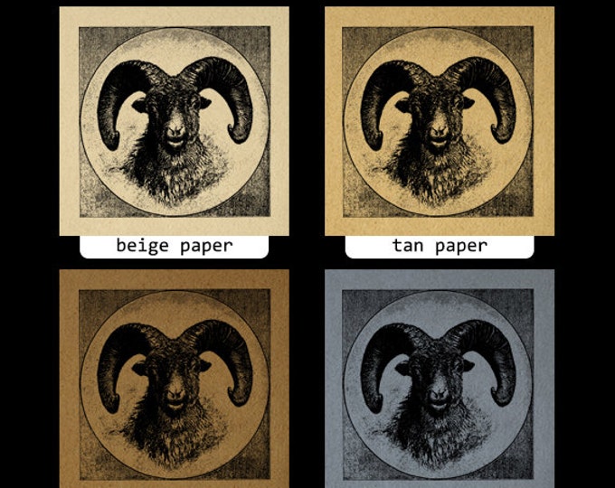 Printable Digital Rocky Mountain Sheep Download Ram Illustration Image Graphic Antique Clip Art Jpg Png Eps HQ 300dpi No.3641