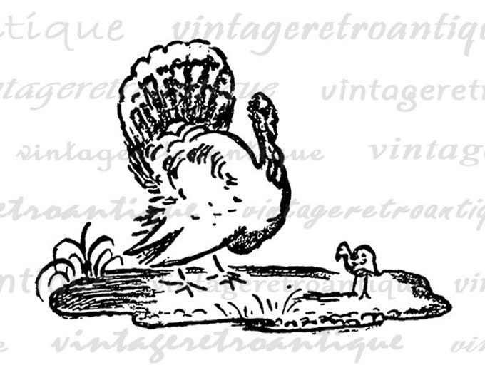 Digital Printable Turkey Graphic Thanksgiving Download Image Vintage Clip Art Jpg Png Eps HQ 300dpi No.1583