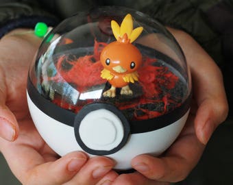 Torchic Pokemon Pokeball Terrarium Fire type