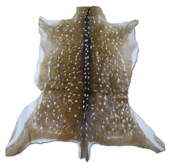 Rug Grade Axis Deer skin Hide size 41 X 39 in Rug