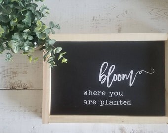 Bloom where you are planted