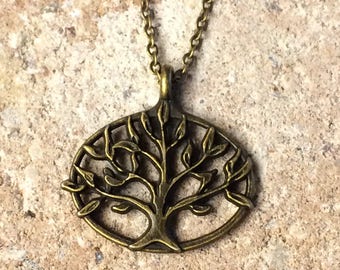 Zebrano Baum Blatt sdatec.com