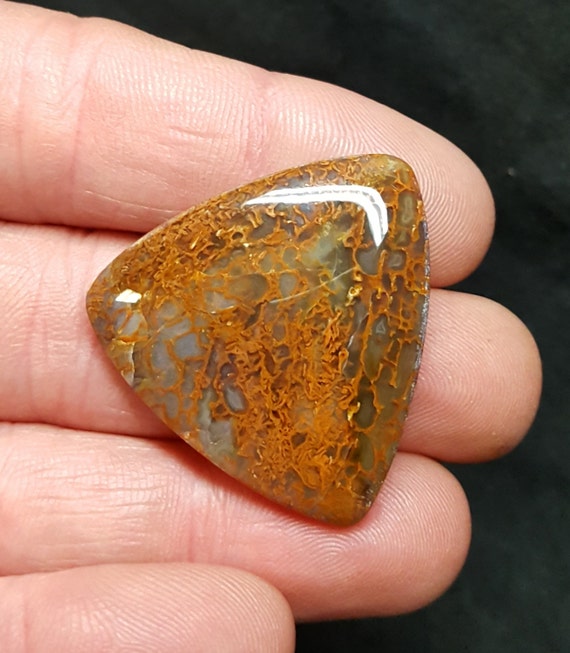 dinosaur gem bone