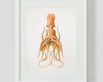 Vintage Nautical Octopus Downloadable Art