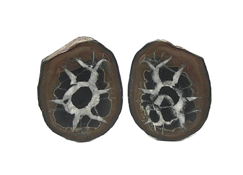 Septarian Ironstone Calcite Nodule Polished Stone Palm