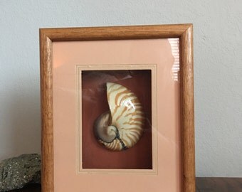 Plaque Murale Ancienne Nautilus – Céramique émaillée Bohème – Grande Taille