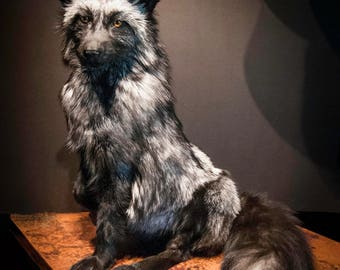 Absolutely Stunning Taxidermied Vintage Silver Fox
