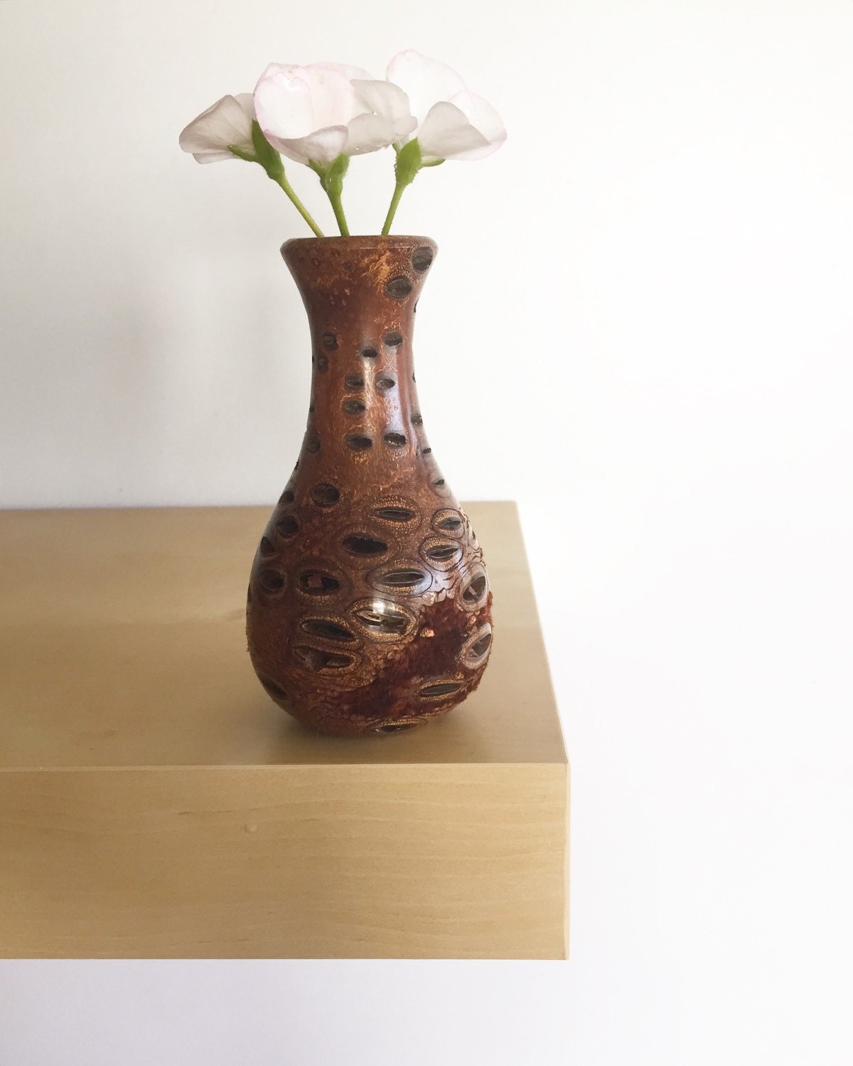 Unusual Australian Banksia Nut Vase Christmas Gift Unique