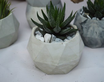Geodesic Sphere / Geometric Concrete / Concrete Planter