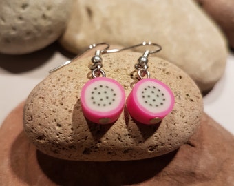 Fruit slice Earrings